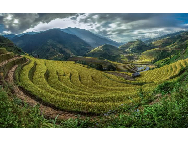 Philippines' Banaue Rice Terraces